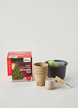 Accessoire divers vert GROW BUDDHA DECO pour unisexe