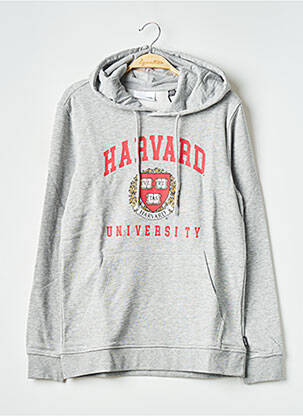 Sweat-shirt à capuche col rond gris ONLY & SONS homme