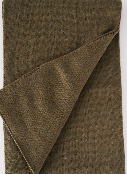 Echarpe kaki SUPERDRY pour homme