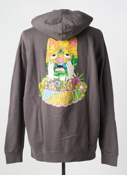 Sweat-shirt gris RIPNDIP pour homme