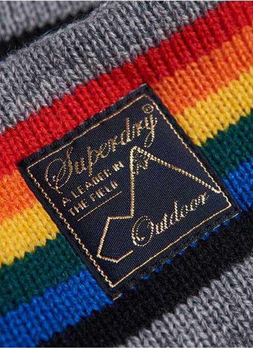 Accessoire pour cheveux gris SUPERDRY femme