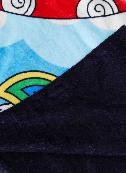 Plaid bleu RIPNDIP pour homme