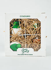 Divers maison vert CARHARTT pour homme seconde vue