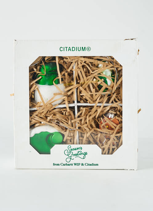 Divers maison vert CARHARTT pour homme