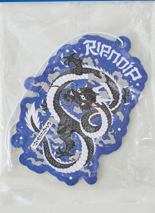 Divers maison multicolore RIPNDIP pour homme