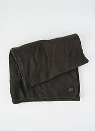 Echarpe vert PETROL INDUSTRIES homme