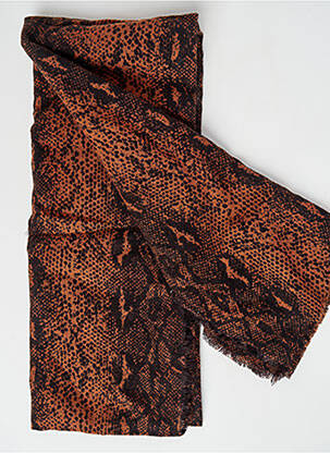 Echarpe marron ONLY femme