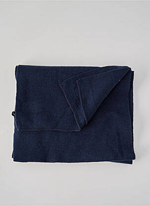 Echarpe bleu PETROL INDUSTRIES homme