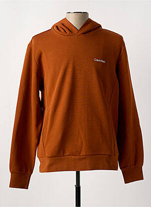 Sweat-shirt à capuche col rond marron CALVIN KLEIN homme