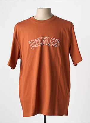 T-shirt col rond marron DICKIES homme
