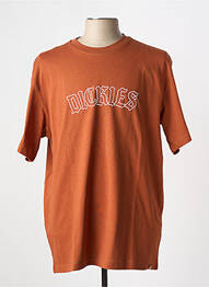 T-shirt col rond marron DICKIES homme