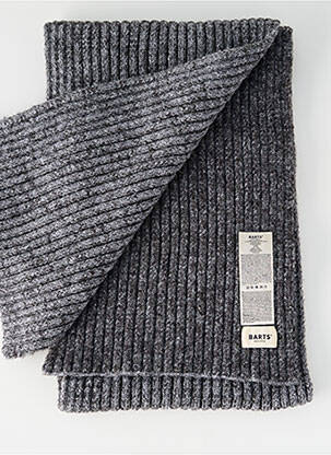 Echarpe gris BARTS homme