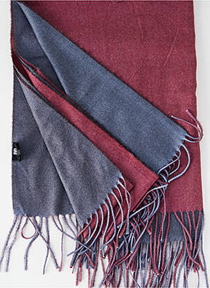 Echarpe violet INEL femme
