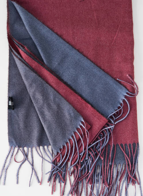 Echarpe violet INEL femme