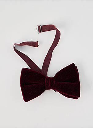 Noeud papillon violet SANS MARQUE homme