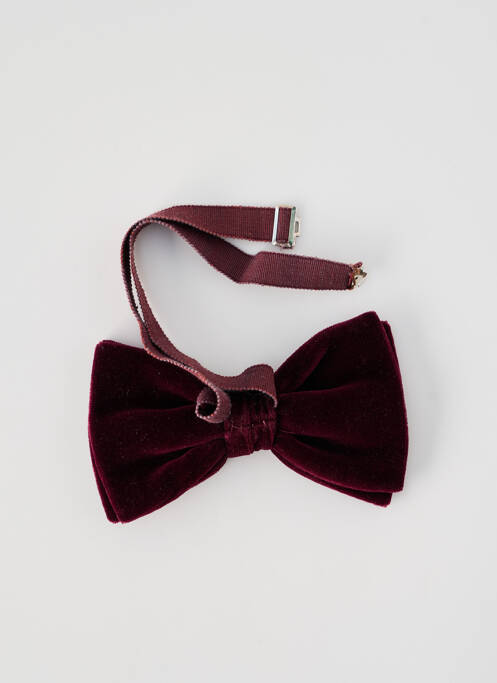 Noeud papillon tissage velours violet SANS MARQUE homme