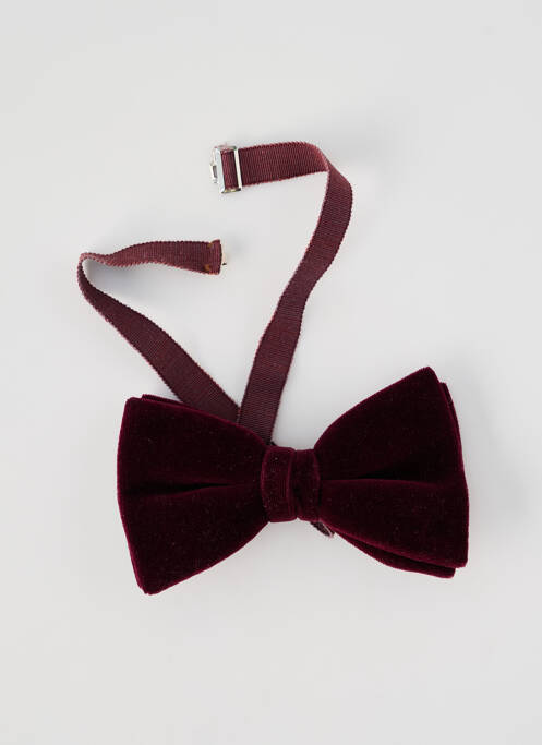 Noeud papillon violet SANS MARQUE homme