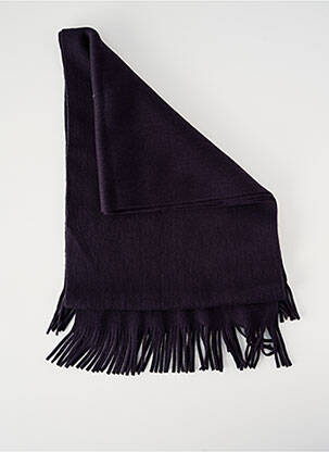 Echarpe bleu WEGENER homme