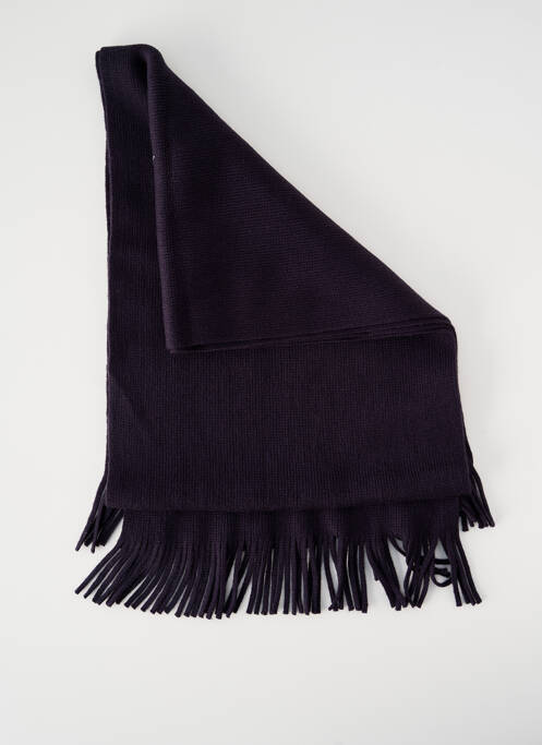 Echarpe bleu WEGENER homme