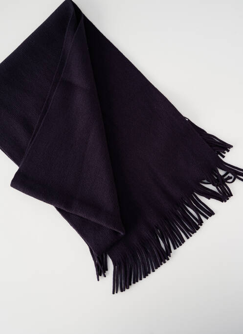 Echarpe bleu WEGENER homme