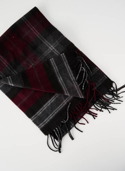 Echarpe violet WEGENER homme