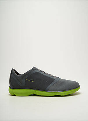 Baskets bout rond bout rond gris GEOX homme