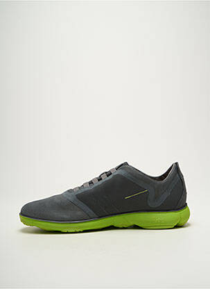 Baskets bout rond bout rond gris GEOX homme