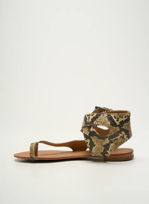 Tongs marron ASH femme