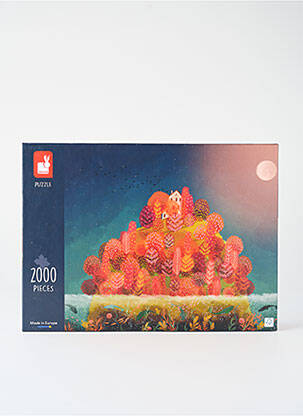 Accessoire divers bleu JANOD enfant