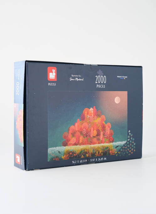 Accessoire divers bleu JANOD enfant