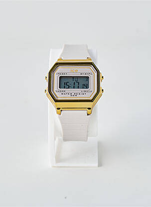 Montre fermeture fermoir mousqueton gris ICE WATCH femme