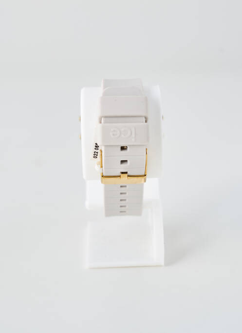 Montre fermeture fermoir mousqueton gris ICE WATCH femme