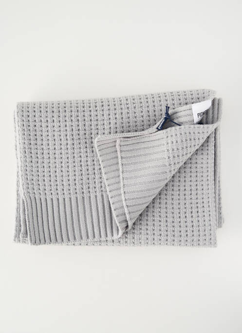 Echarpe stretch gris PIONEER homme
