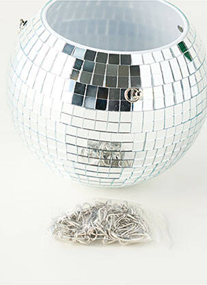 Divers maison argent L'EXPRESSIONIST femme