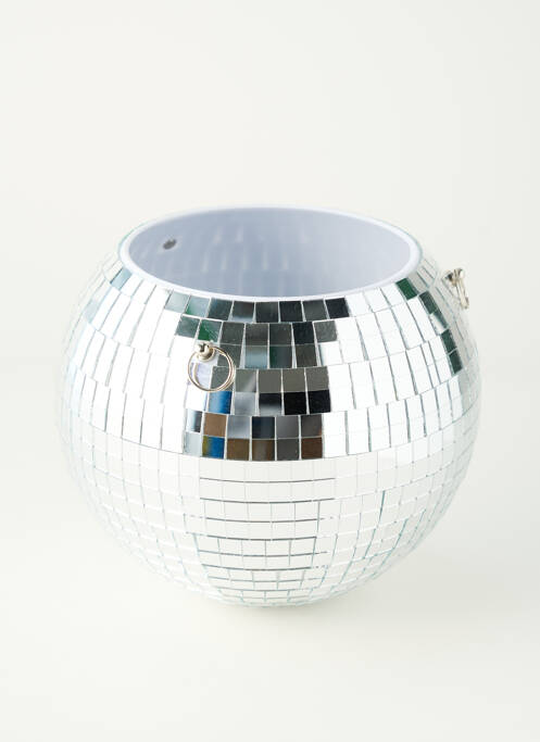 Divers maison argent L'EXPRESSIONIST femme