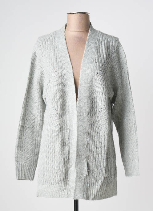 Gilet manches longues coupe cintrée gris LINEA TESINI femme