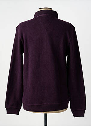 Pull col polo manches longues violet TERRITOIRE D'HOMME homme