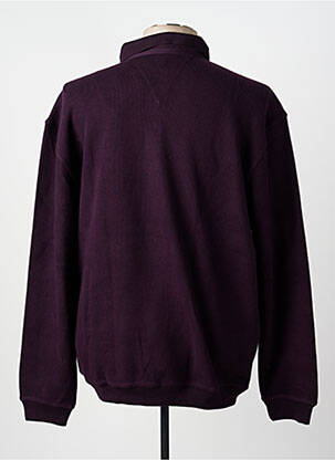 Sweat-shirt stretch manches longues violet TERRITOIRE D'HOMME homme