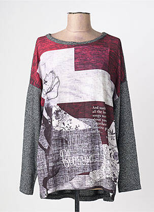 Pull coupe cintrée manches longues gris DANIELA COOL femme