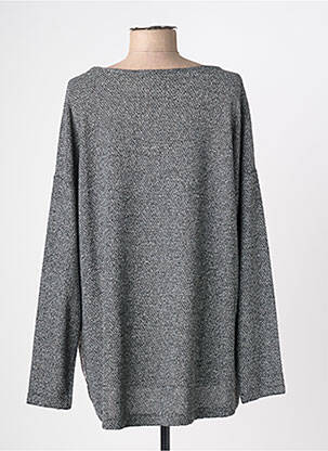 Pull coupe cintrée manches longues gris DANIELA COOL femme