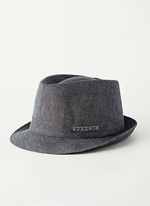 Chapeau gris STETSON homme