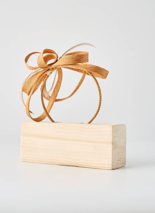 Accessoire pour cheveux marron JOA NELL femme