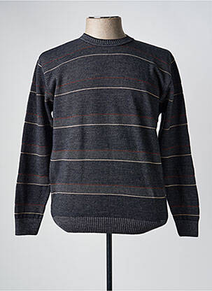 Pull col rond manches longues gris DARIO BELTRAN homme