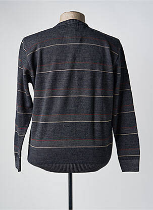 Pull col rond manches longues gris DARIO BELTRAN homme