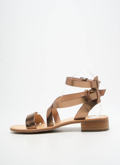 Sandales/Nu pieds marron LES TROPEZIENNES PAR M.BELARBI femme