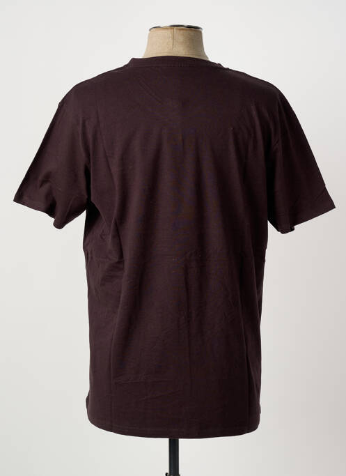 T-shirt marron PIERRE CARDIN homme