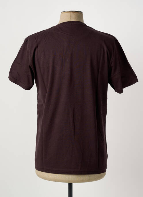 T-shirt violet PIERRE CARDIN homme