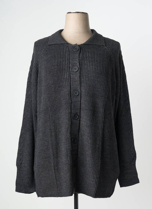 Gilet manches longues gris SHEEGO femme