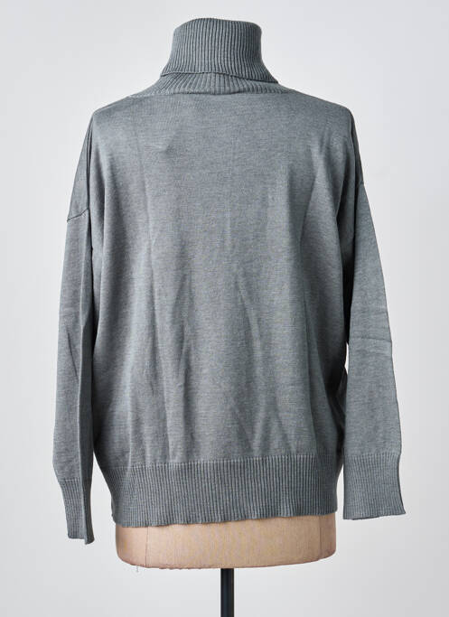Pull col roulé resserrée sur le bas manches longues gris COULEURS DU TEMPS femme
