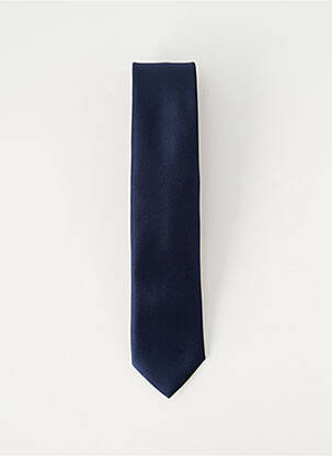 Cravate bleu CLAUDE GABRIEL homme